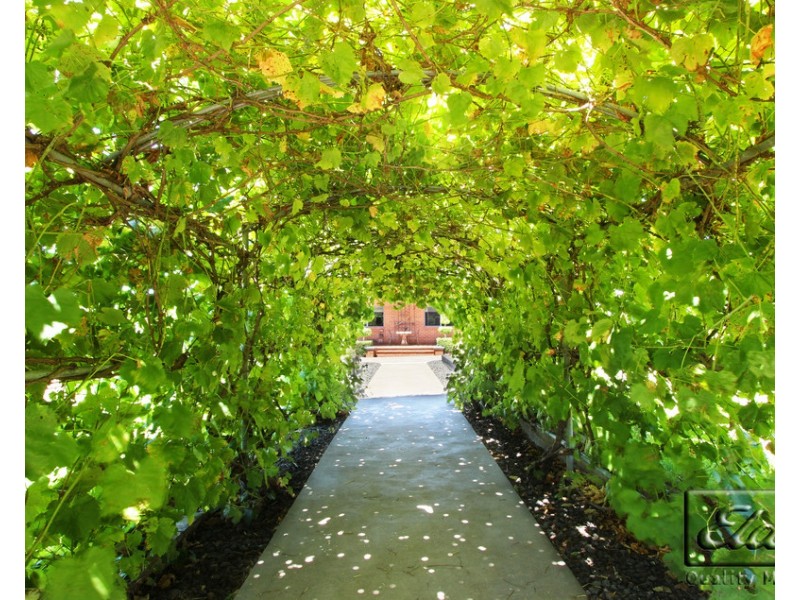 1263 Sutton Grange – Redesdale Road, Redesdale VIC 3444