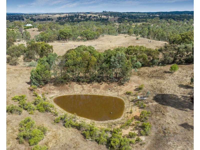 69 Mechan Road, Eppalock VIC 3551