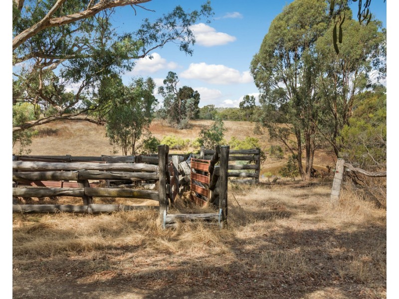 69 Mechan Road, Eppalock VIC 3551