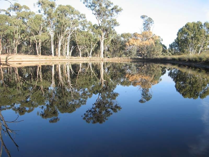 Sedgwick Road, Sedgwick VIC 3551