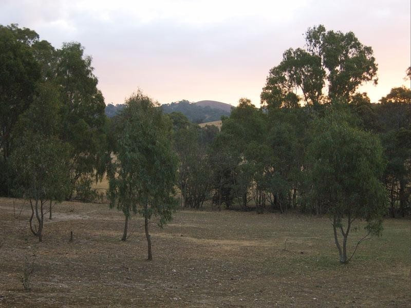 Sedgwick Road, Sedgwick VIC 3551