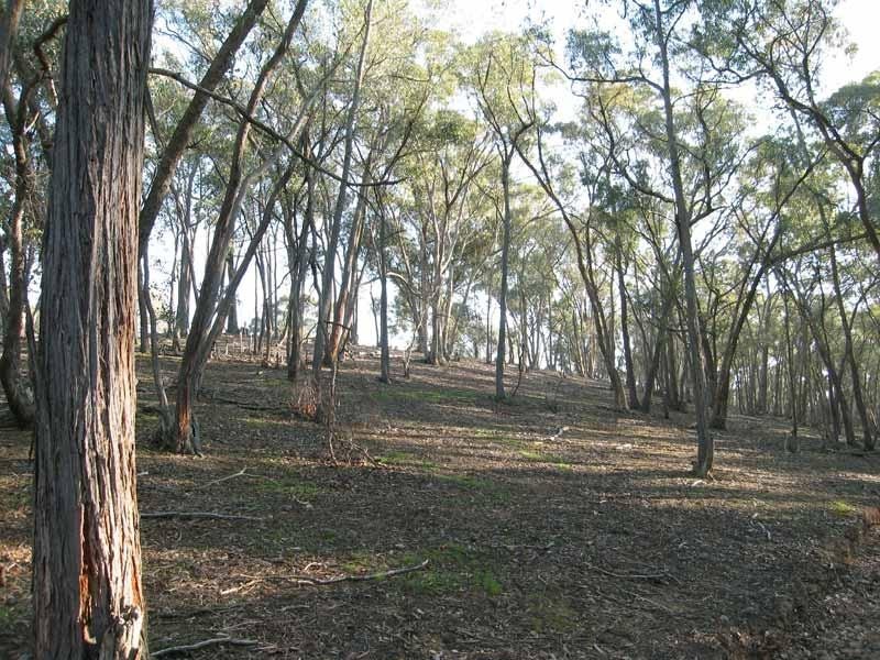 Sedgwick Road, Sedgwick VIC 3551