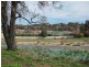 Bendigo VIC 3550