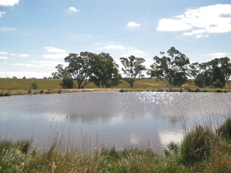 32 Mulberry Lane, Lockwood South VIC 3551