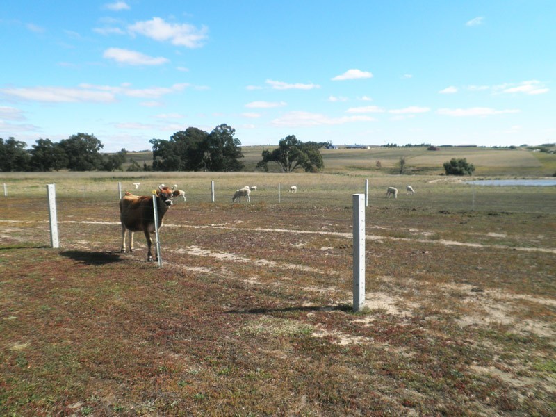 32 Mulberry Lane, Lockwood South VIC 3551