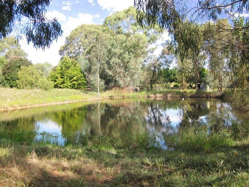 184 Nankervis Road, Mandurang VIC 3551