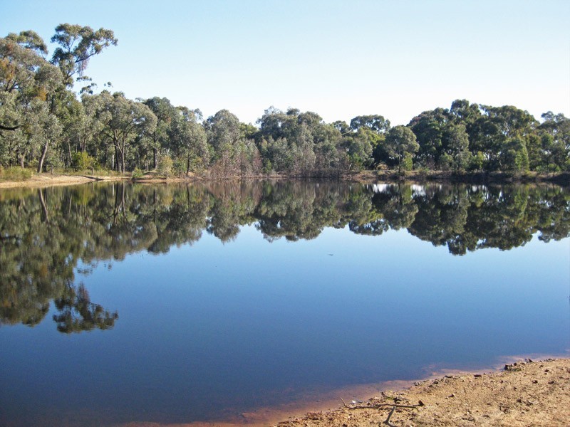 146 Sedgwick Road, Mandurang VIC 3551