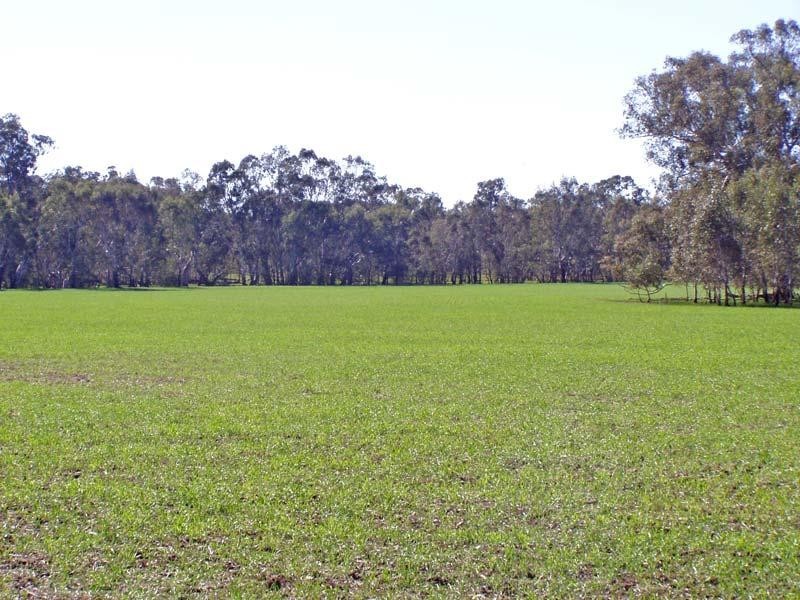 Bendigo VIC 3550