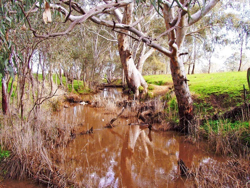 Bendigo VIC 3550