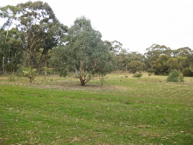 CA 21 Drinkwater Road, Maiden Gully VIC 3551