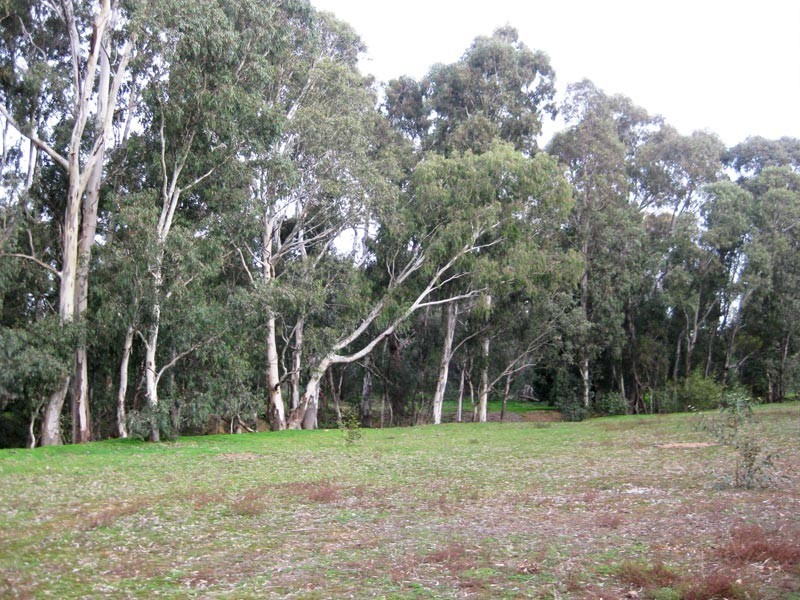 CA 21 Drinkwater Road, Maiden Gully VIC 3551