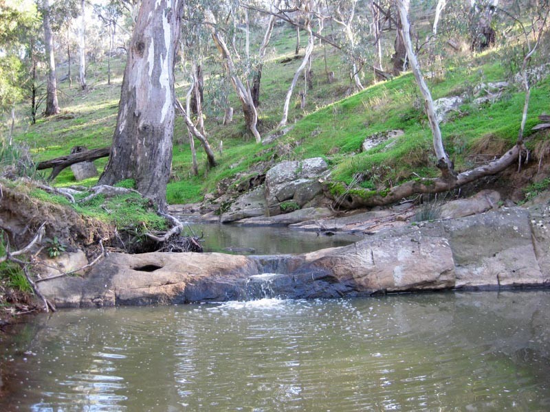 Lot 7 Browns Lane, Sedgwick VIC 3551