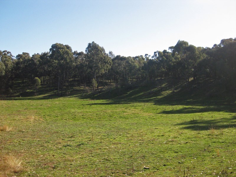 Lot 7 Browns Lane, Sedgwick VIC 3551