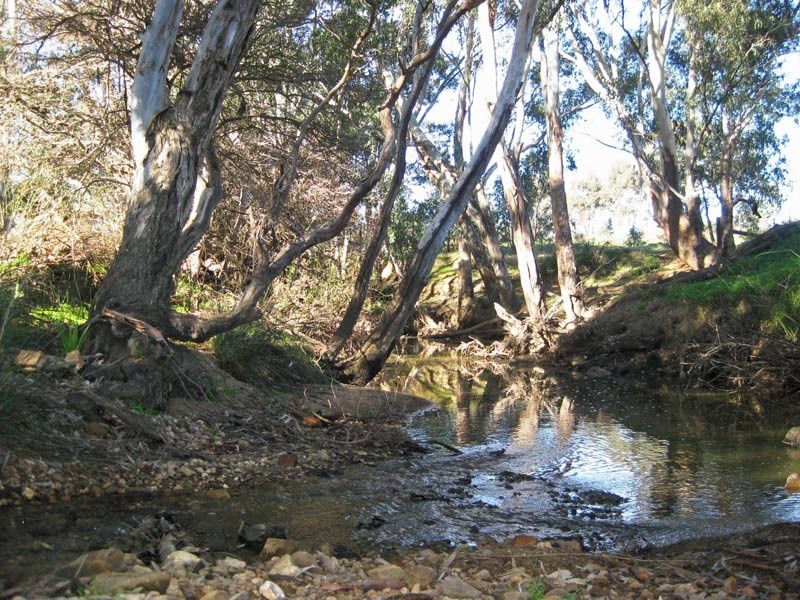 Lot 7 Browns Lane, Sedgwick VIC 3551
