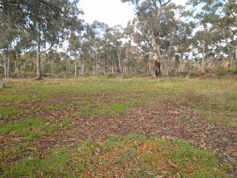 1123 Inglewood-Rheola Road, Kingower VIC 3517