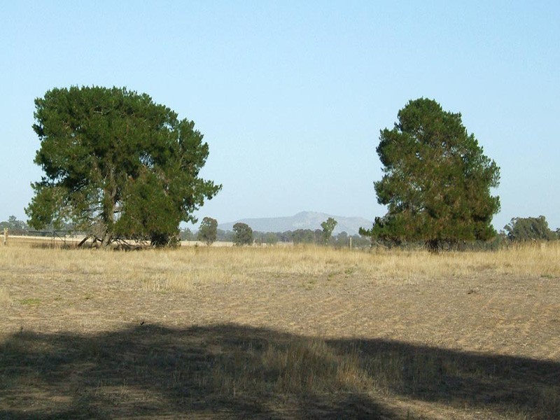 CA 76A Simpsons Creek Lane, Arnold VIC 3551