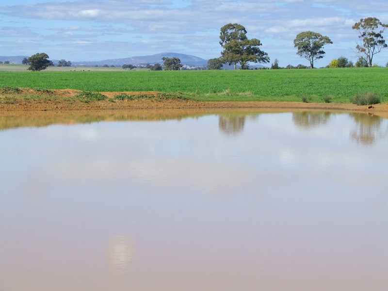 33 Edwards Road, Eddington VIC 3472