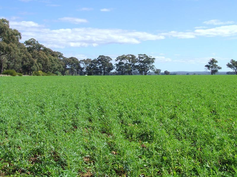 33 Edwards Road, Eddington VIC 3472