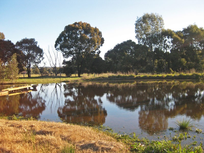 258 Nankervis Road, Mandurang VIC 3551