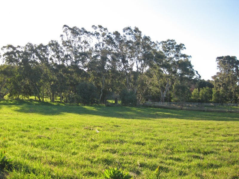 258 Nankervis Road, Mandurang VIC 3551