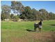 258 Nankervis Road, Mandurang VIC 3551