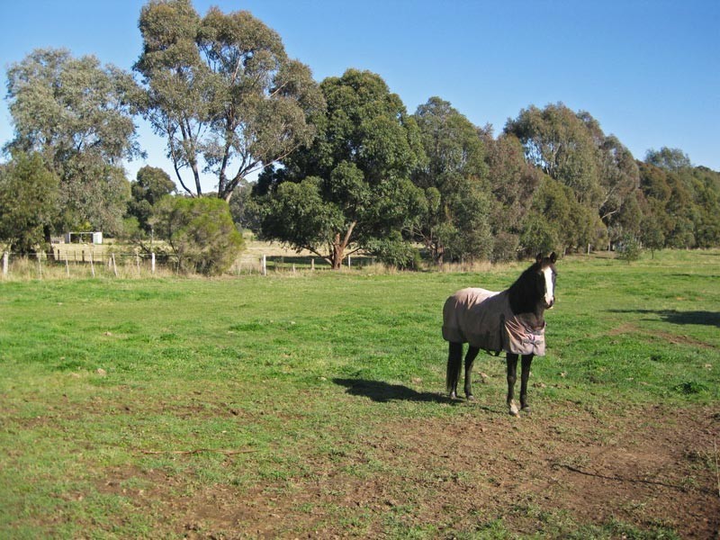 258 Nankervis Road, Mandurang VIC 3551