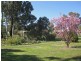 64 High Street, Axedale VIC 3551