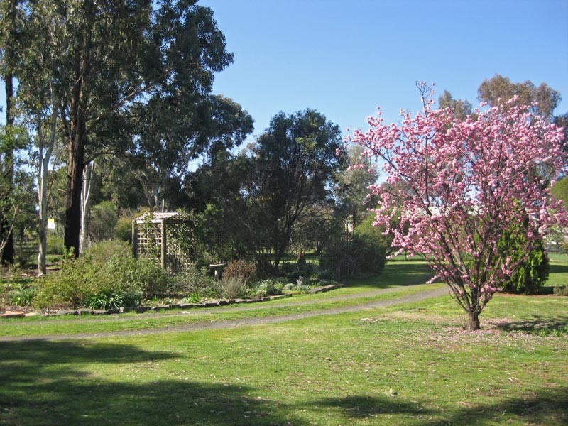 64 High Street, Axedale VIC 3551