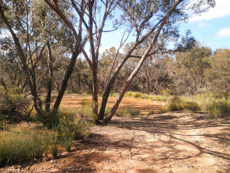 0 Bendigo Tennyson Road, Bagshot North VIC 3551