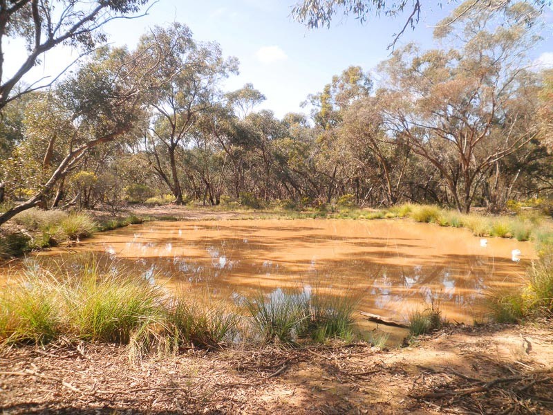 0 Bendigo Tennyson Road, Bagshot North VIC 3551