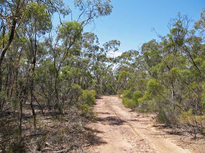 0 Bendigo Tennyson Road, Bagshot North VIC 3551