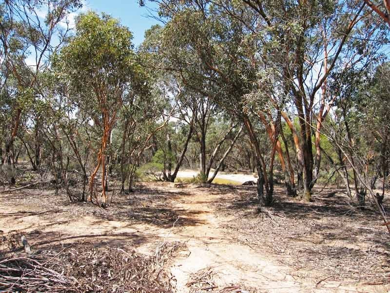 0 Bendigo Tennyson Road, Bagshot North VIC 3551