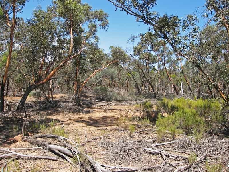0 Bendigo Tennyson Road, Bagshot North VIC 3551