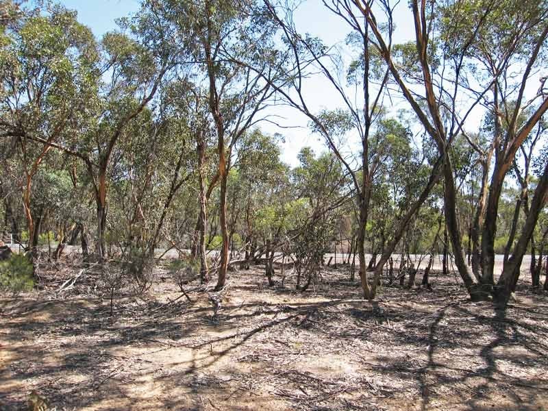 0 Bendigo Tennyson Road, Bagshot North VIC 3551