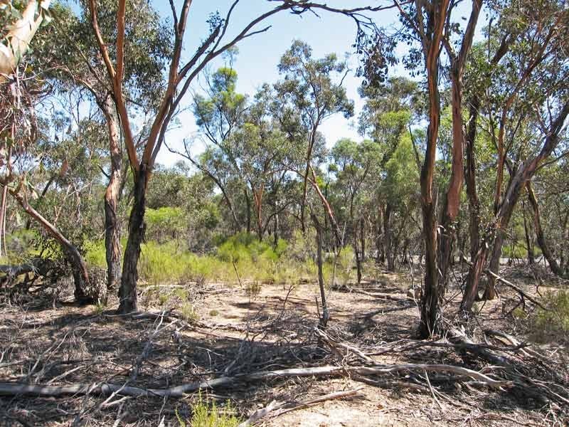 0 Bendigo Tennyson Road, Bagshot North VIC 3551