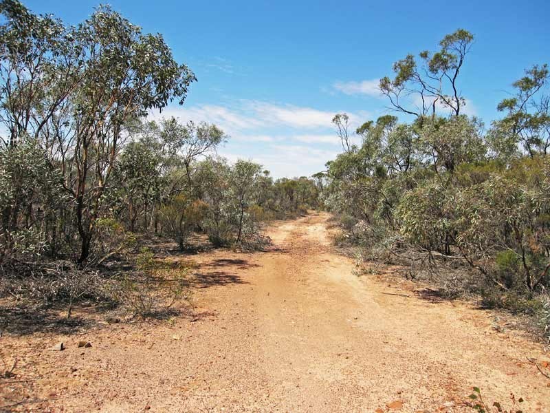 0 Bendigo Tennyson Road, Bagshot North VIC 3551