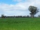 Colbinabbin VIC 3559