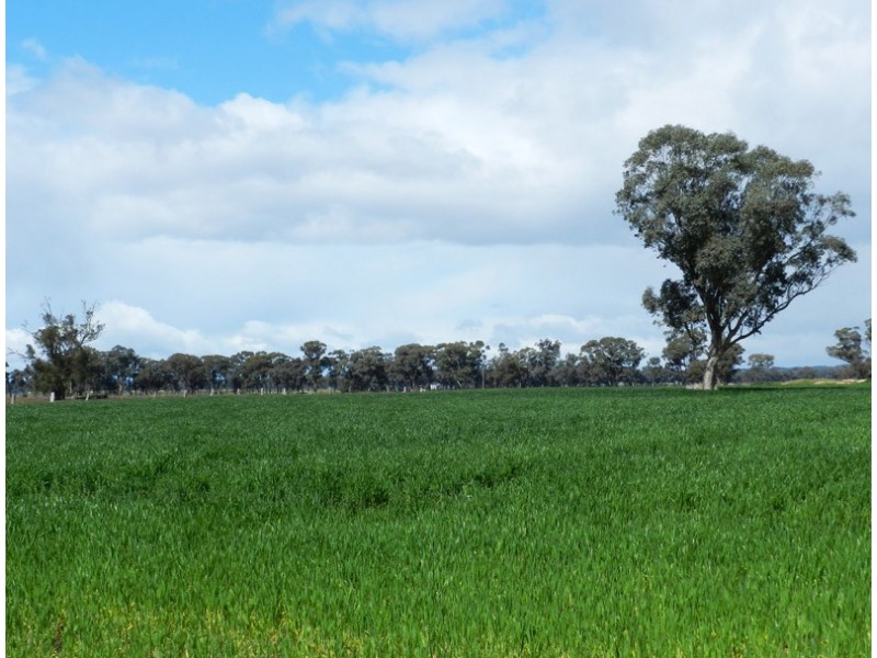 Colbinabbin VIC 3559