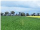 Colbinabbin VIC 3559