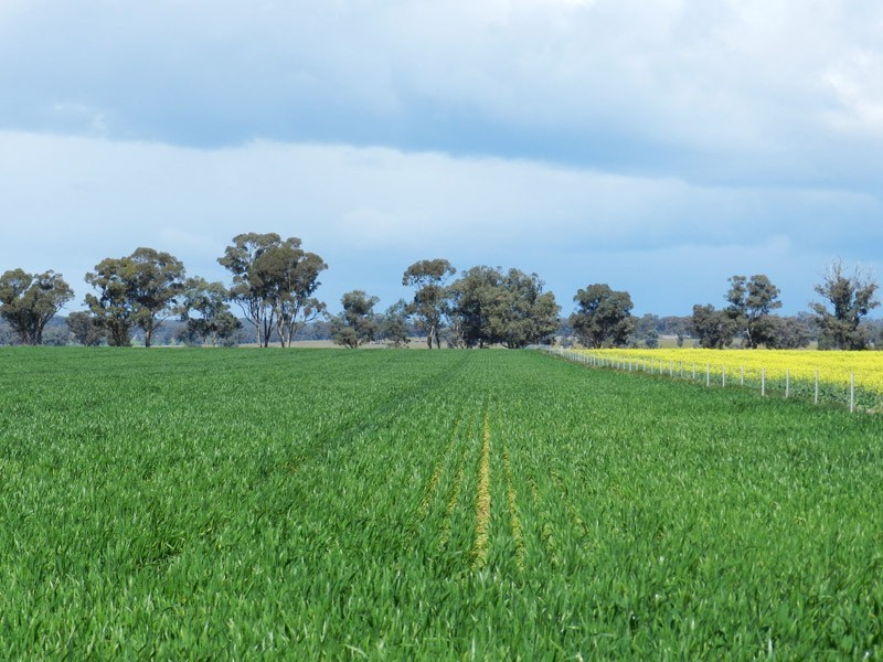 Colbinabbin VIC 3559