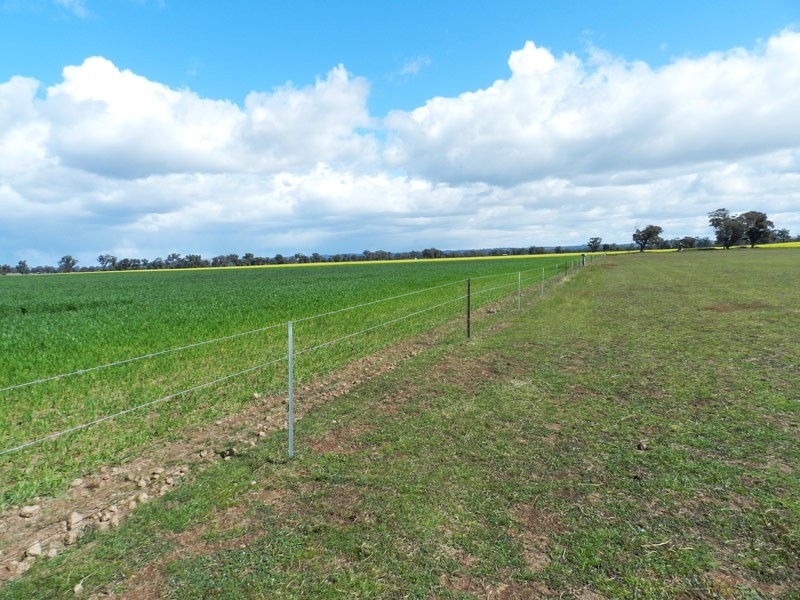 Colbinabbin VIC 3559