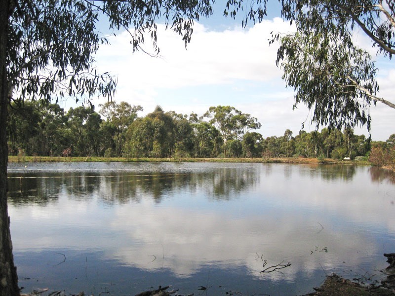 51 Hannans Road, Mandurang South VIC 3551