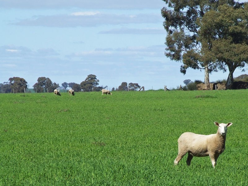 33 Edwards Road, Eddington VIC 3472