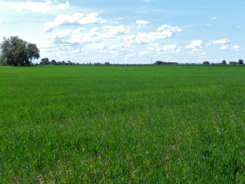 4382 Loddon Valley Highway, Serpentine VIC 3517