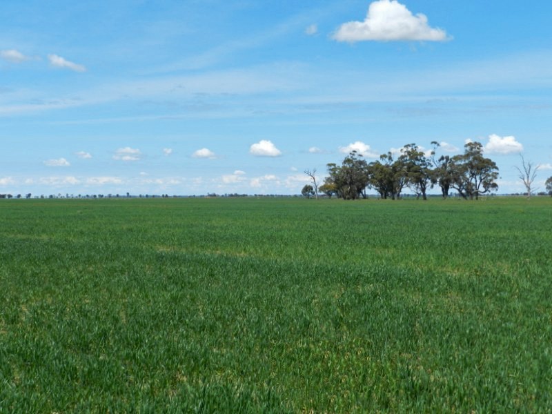 4382 Loddon Valley Highway, Serpentine VIC 3517