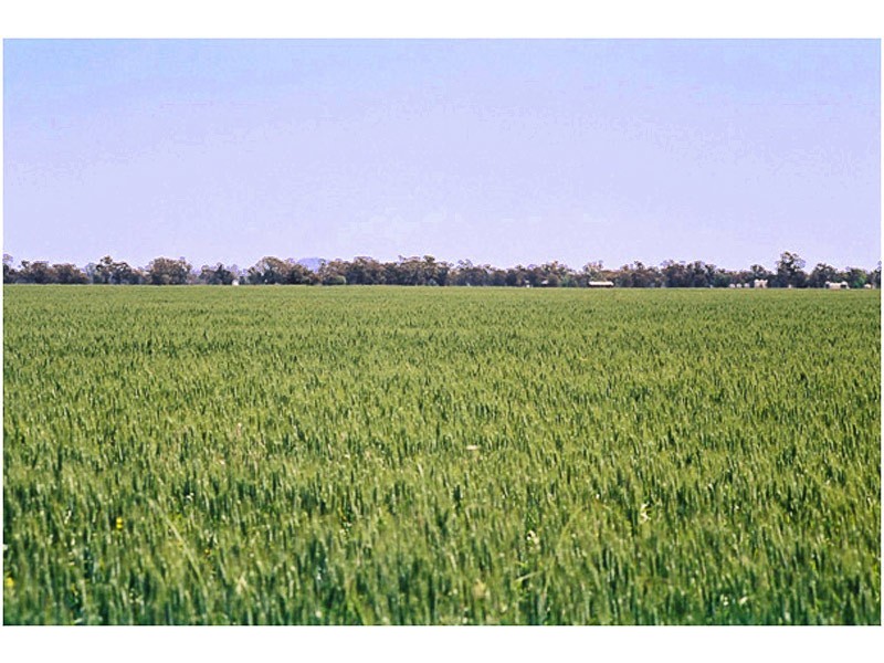 4382 Loddon Valley Highway, Serpentine VIC 3517