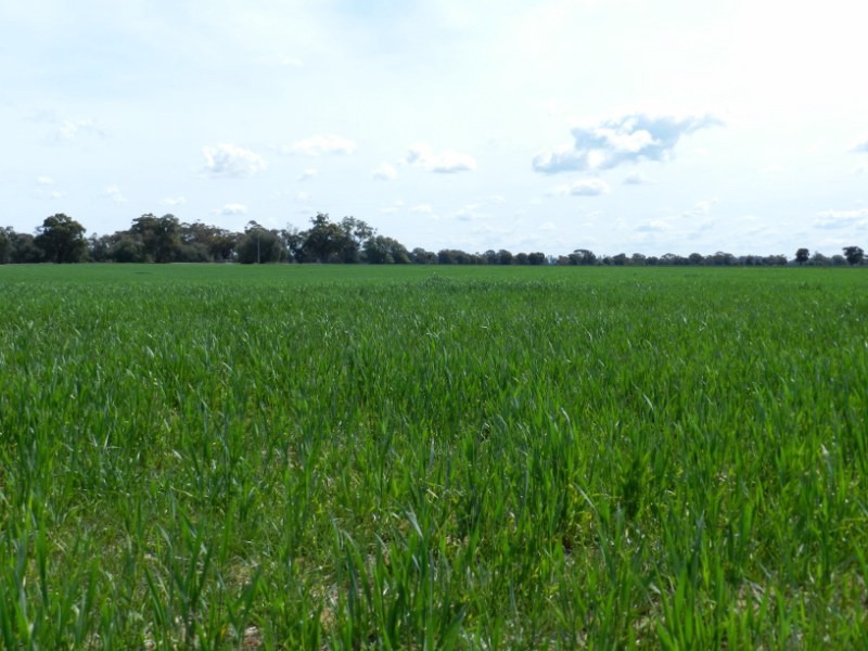 4382 Loddon Valley Highway, Serpentine VIC 3517