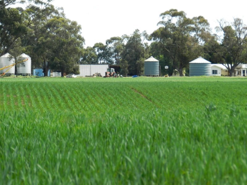 4382 Loddon Valley Highway, Serpentine VIC 3517