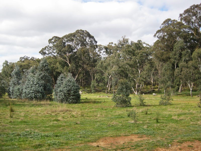 CA 13A Mia Mia Track (off Mia Mia Road), Newstead VIC 3462