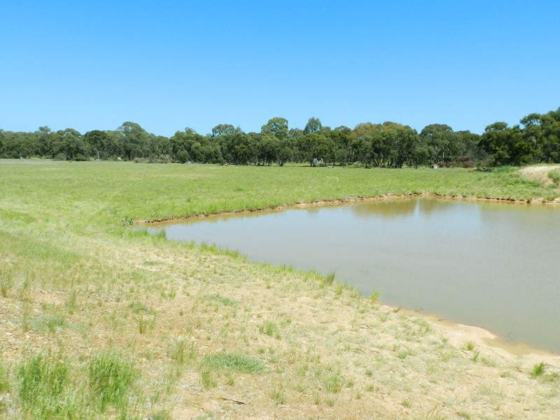 Approx 40 Ac Chalkleys Road, Goornong VIC 3557